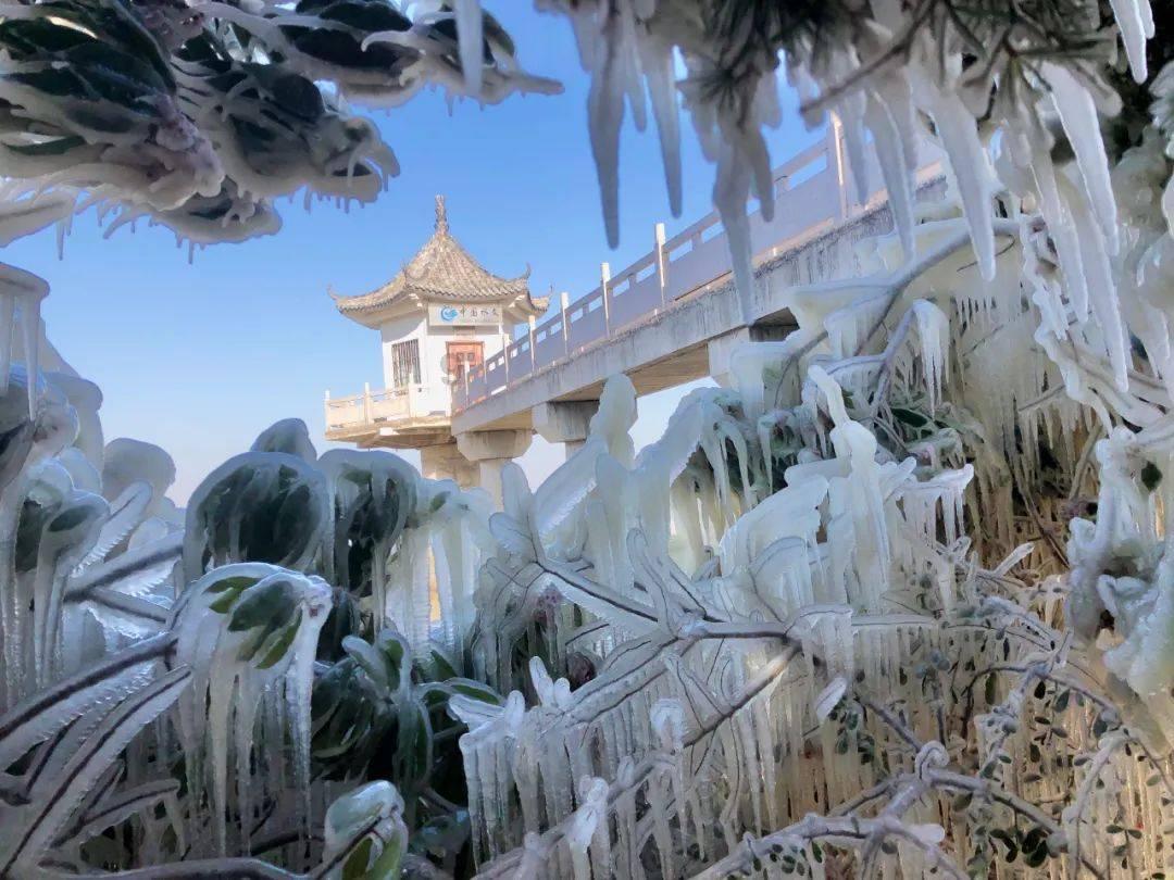 假期已到账！团团陪你有“安”有YOUNG过大年~